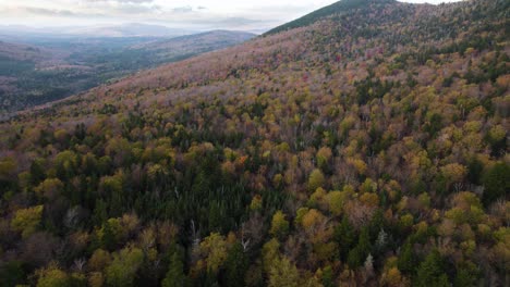 Flying-over-colorful-national-park-forest-hillside-during-overcast-fall-day