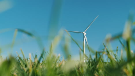 Wind-Turbine-Through-Blades-of-Grass