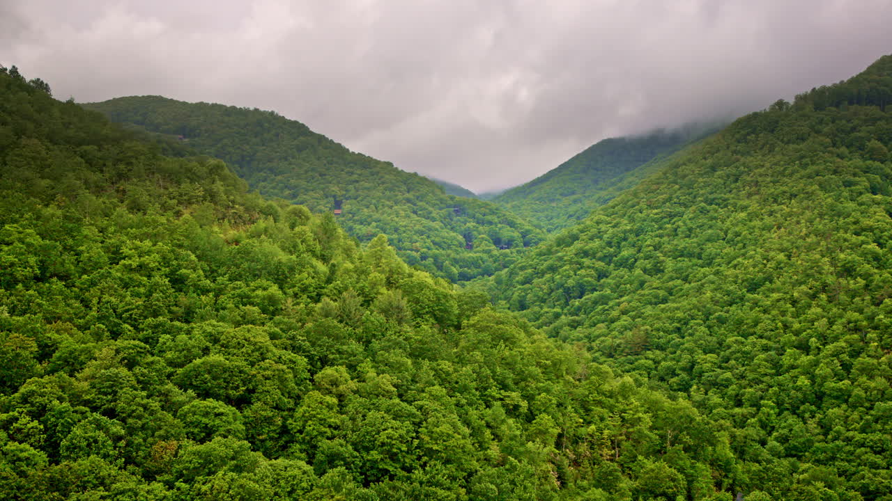 Serene drone flight over the Smokies swathed in fog
