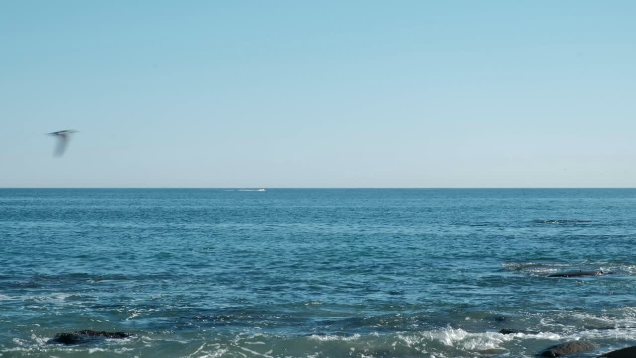 멀리 떨어져 있는 고래가 물에서 뛰어내리는 광각 사진