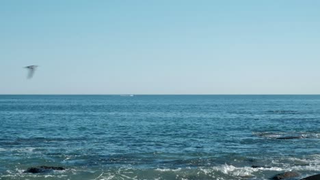 Wide-angle-shot-of-a-far-off-whale-jumping-out-of-the-water