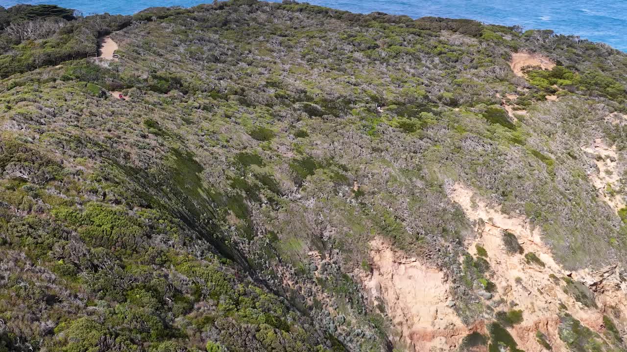 Drone captures rugged cliffs, dense vegetation, and ocean at Cape Schanck, Victoria, Australia