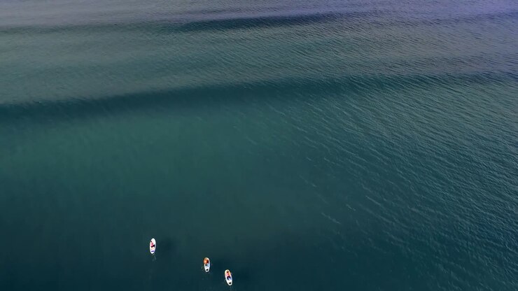 Tourists surfing in the sea during sunset 4k