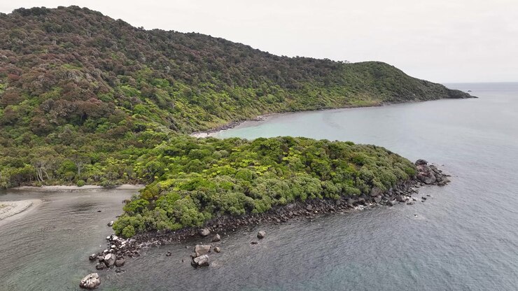 Remote coastal landscape of Stewart Island, Rakuira in New Zealand. Aerial drone shoreline.