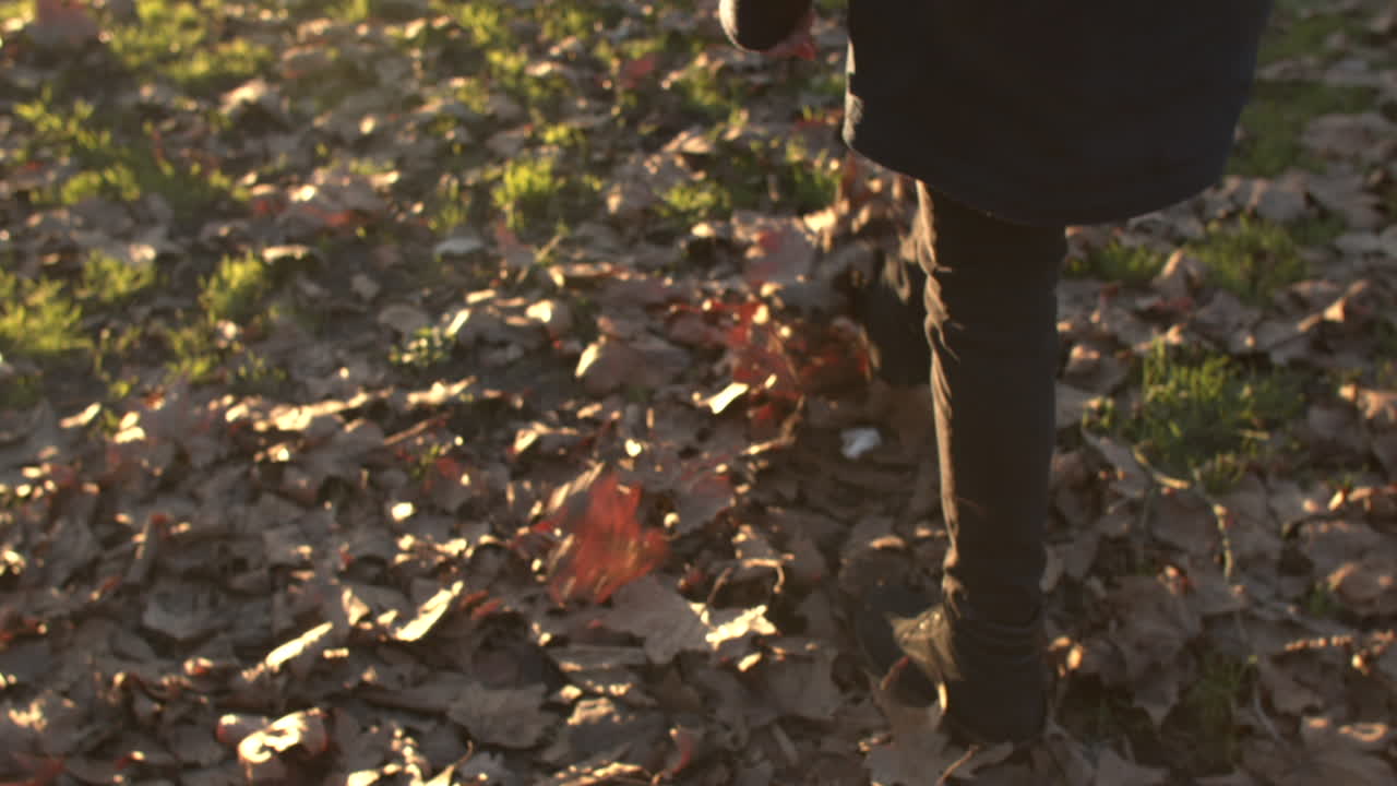 Kicking up autumn leaves in slow motion while sunset glare warms image