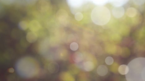 Abstract spring background with bokeh