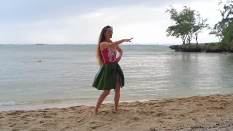 hawaii hula dancer in costume dancing 4k