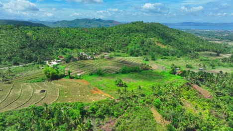 Grüne-Tropische-Landschaft-Der-Philippinen-Mit-Kokosnussbäumen-Und-Plantagenfeldern