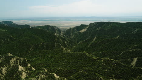 Üppiges-Canyon-Tal-Mit-Hügeln-Im-Naturschutzgebiet-Vashlovani,-Georgia