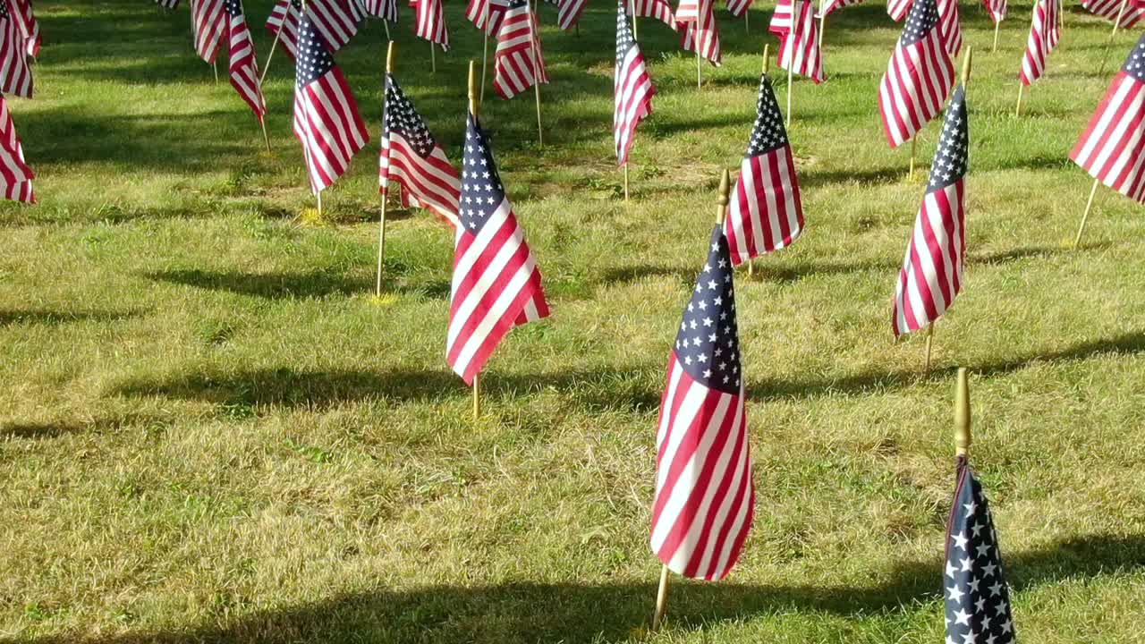 바람에 펄럭이는 수백 개의 미국 국기가 녹색 잔디밭에 그림자를 드리우고 있습니다.