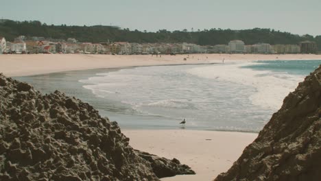 Nazarè-beach-in-Portugal,-a-seagull-walks-on-the-sand-and-waves-crash-on-the-shore