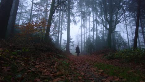 Traveler-is-walking-along-a-path-in-a-long-jacket-with-a-backpack-in-an-autumn-forest-with-fallen-leaves