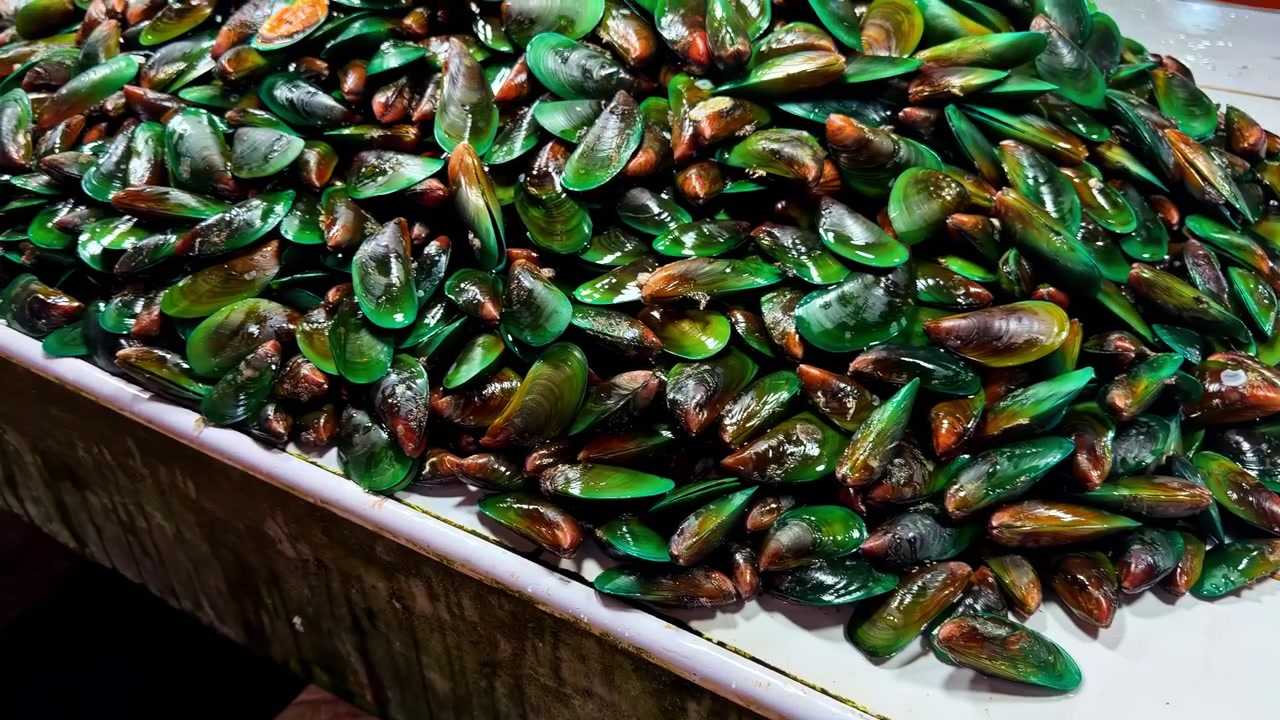 Seaweed with clams and bags of oysters displayed on table at local market in Philippines