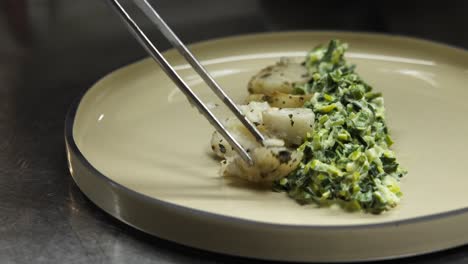 slow motion close-up of chef using tongs to plate fine dining dish