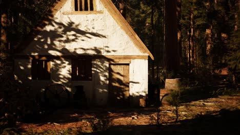 old wooden house in the autumn forest