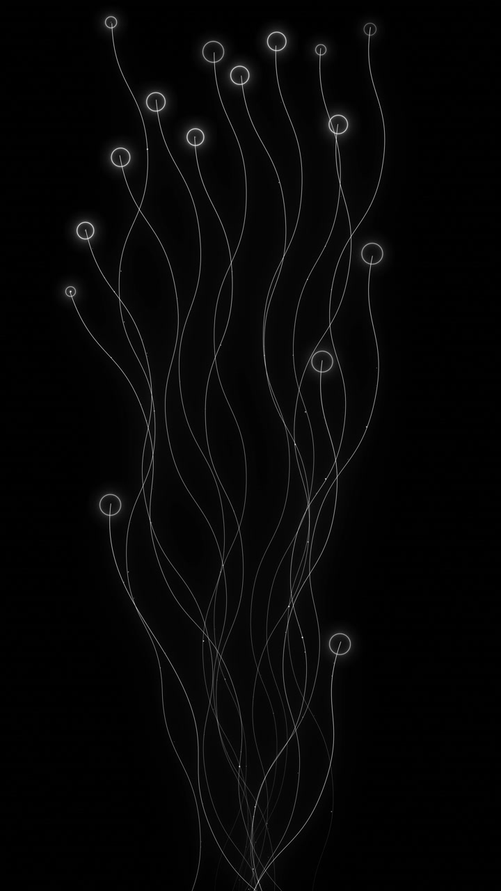 White flowing lines network background with black space glowing nodes smooth curves and abstract
