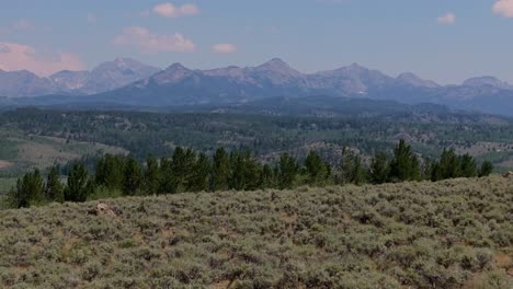 aerial dolly over scrubland shrubs on rolling hills and expansive plains in wyoming’s wind river range, with mountains on the horizon