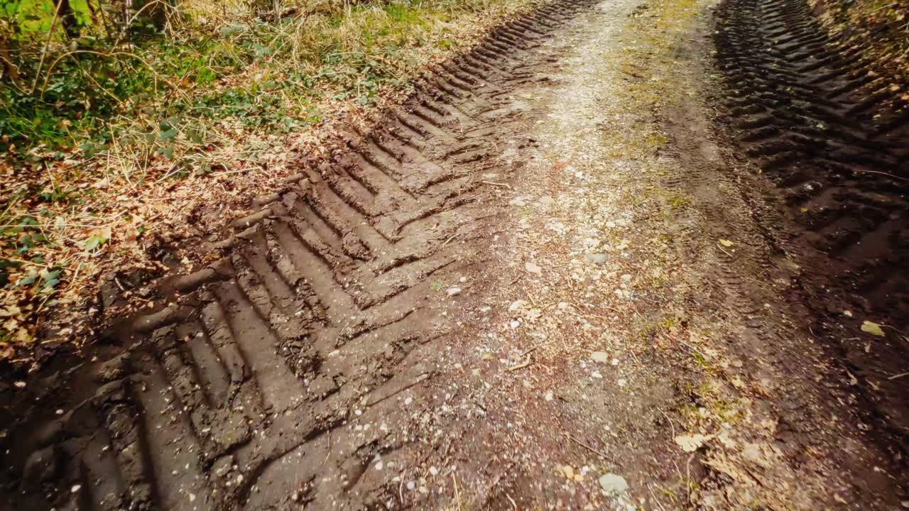 rastros de ruedas de tractor en un camino fangoso en el bosque de otoño