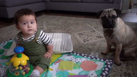 baby and dog in living room adorable cute biracial hispanic