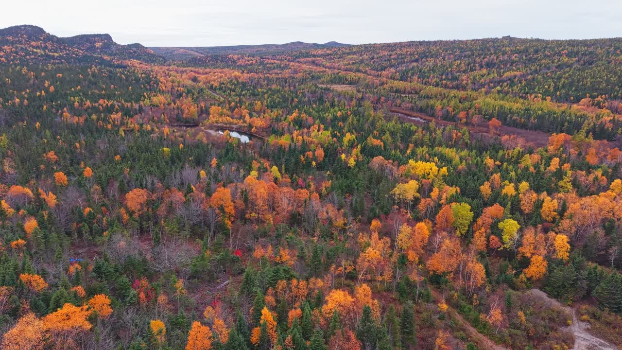 High plateau in Central Newfoundland covered with mixed evergreen and autumn forest, with ridges and cliffs rising above rolling hills and distant peaks