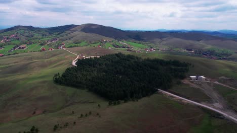 Vista-Aérea-Del-Bosque-De-Pinos-Y-Colinas-Verdes-Con-Pastos