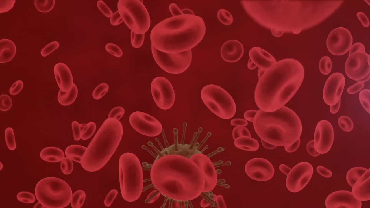 animación de células en movimiento sobre fondo rojo