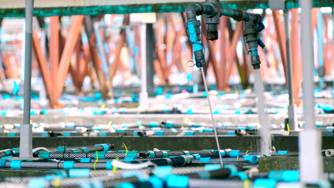 Pressured seawater pumped into aerated cement tanks with PVC baskets containing South African abalone on aquafarm