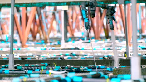 Agua-De-Mar-A-Presión-Bombeada-A-Tanques-De-Cemento-Aireado-Con-Cestas-De-PVC-Que-Contienen-Abulón-Sudafricano-En-Aquafarm