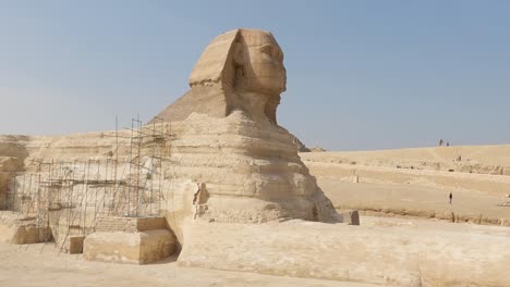 majestic side view of sphinx located in the middle of amazing and ancient giza pyramid complex in egypt