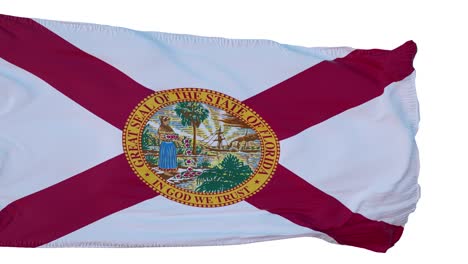 bandera de florida aislada animación realista. bucle sin costuras, 4k