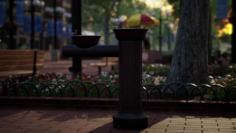 quiet-city-park-with-trees-and-benches