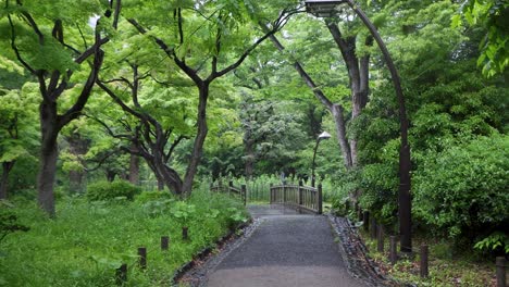 the best view in tokyo