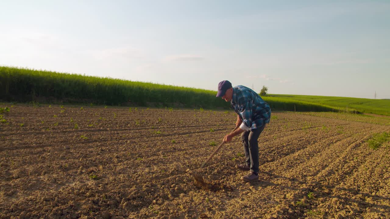 농업 도구는 필드를 괭이