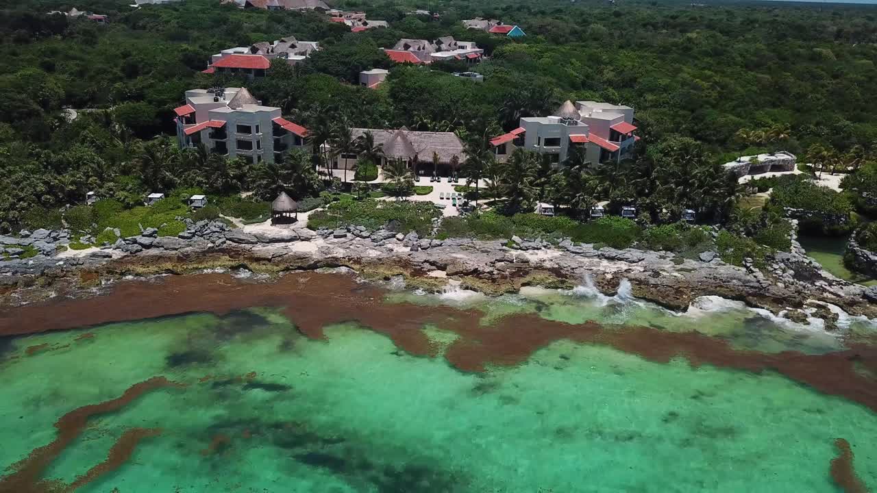 xcaret mexico의 열대 식물과 해변 휴양지의 놀라운 전망을 드러내는 캐리비안 해안의 빠른 풀백 상승 공중