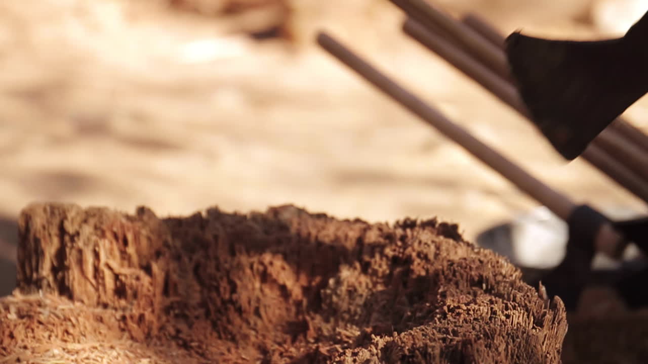 도끼는 가을에 농장의 나무 통나무에서 가져온다