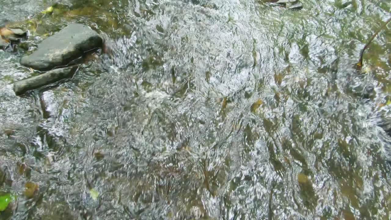 Shot of clear stream with stones, Ardennes, Belgium, Europe, 4K, 50fps