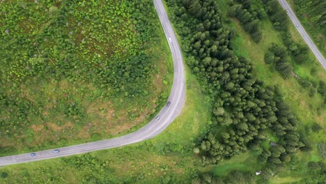 Road-trip-through-a-forest