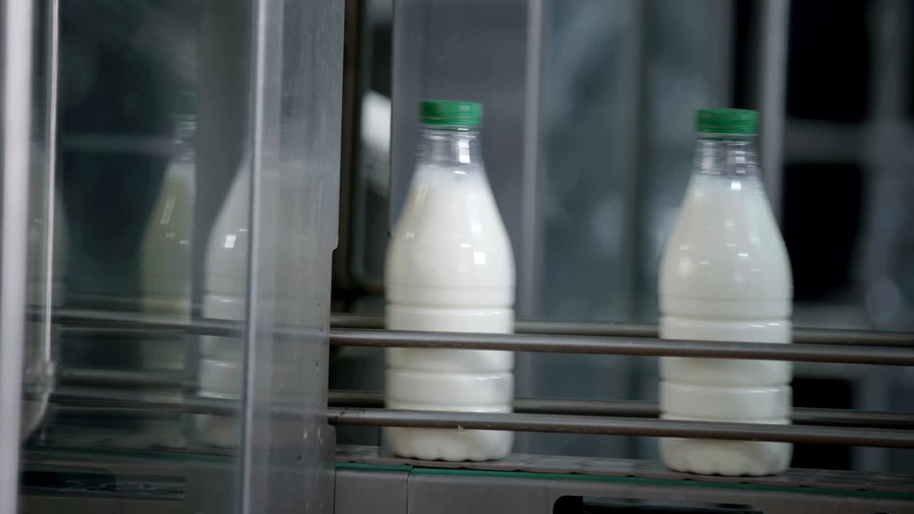 Milk production, white plastic bottles transported on conveyor, automated production line