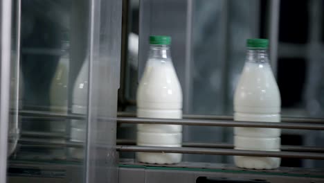 milk production, white plastic bottles transported on conveyor, automated production line