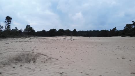 flying above a bank of sand where you can see the trails of deer and other animals have been walking, cloudy and overcast weather