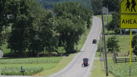 an amish horse and buggy riding along the road on the countryside