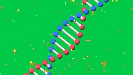 Animation-of-confetti-falling-over-dna-strand-spinning-over-green-screen