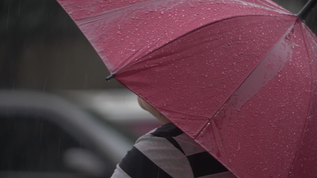 비에 젖은 우산 01