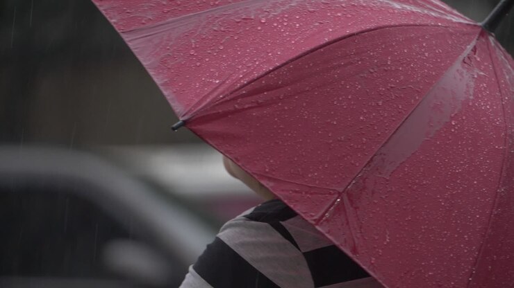 Rain Soaked Umbrella 01