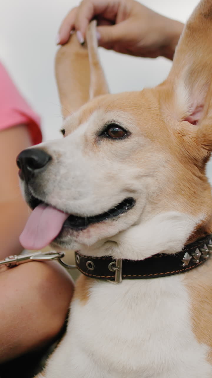 웃는 여자, 분홍색 을 입은 아이가 근처에 앉아있고, 줄을 들고, 밝은 하늘 아래 야외에서 재미있는 시골 순간을 즐기고 있습니다.