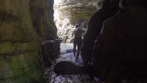 adventurer man walking on sea cliffs.