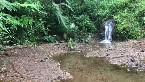 cascada hermosa, tranquila y tranquila en una selva tropical