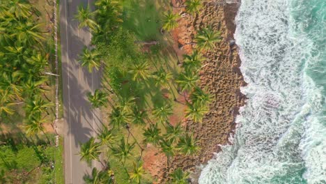 aerial top down shot of road and palm trees with sandy beach and caribbean sea with waves at sunset