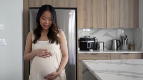 pregnant woman in a kitchen