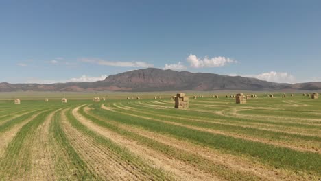 Imágenes-Aéreas-De-Un-Campo-De-Heno